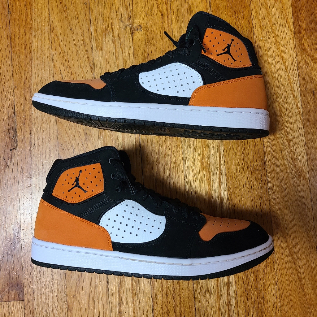 Jordan Access Shattered Backboard 9.5